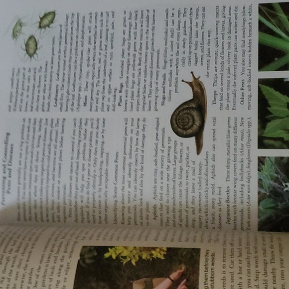 Rodale's Successful Organic Gardening: Perennials Book - Picture 3 of 7